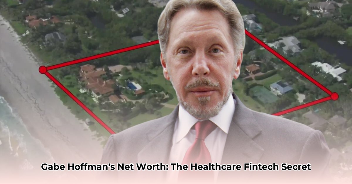 gabe-hoffman-net-worth